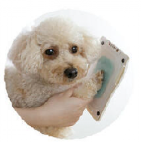 japanese-stationery-culture-kit-allows-you-to-capture-your-dog-or-cats-paw-prints-without-messing-up-your-room-or-their-paws-1753922846-1.png