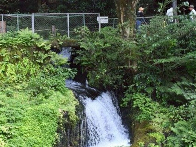 the-taste-is-completely-different-from-early-in-the-morning-serious-water-spreaders-are-constantly-coming-from-hakojima-spring-water-a-famous-water-in-gunma-bringing-unicycles-1754437529.jpg