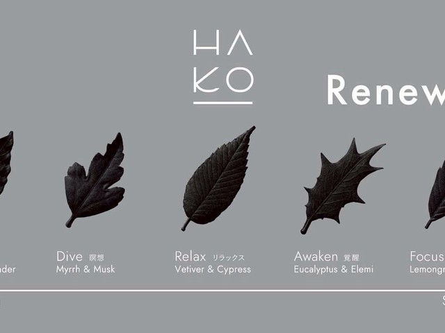the-black-line-of-ha-ko-incense-made-from-japanese-paper-with-a-leaf-motif-has-been-renewed-1759359894.jpg