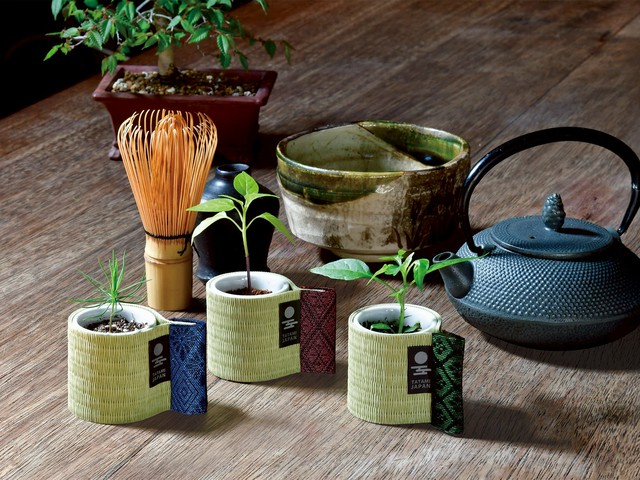obudeta-ochoco-tatami-cultivation-kit-featuring-tatami-a-symbol-of-japanese-life-is-now-on-sale-1761090292.jpg