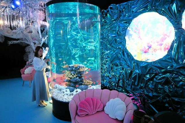 aquarium-in-hirakata-park-a-new-area-where-you-can-enjoy-200-types-of-aquatic-creatures-1761521354.jpg