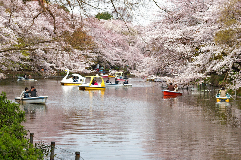 best-date-spots-in-tokyo-1629247777-1.jpg