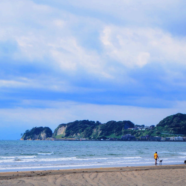 best-beaches-in-kamakura-1629274848-1.png
