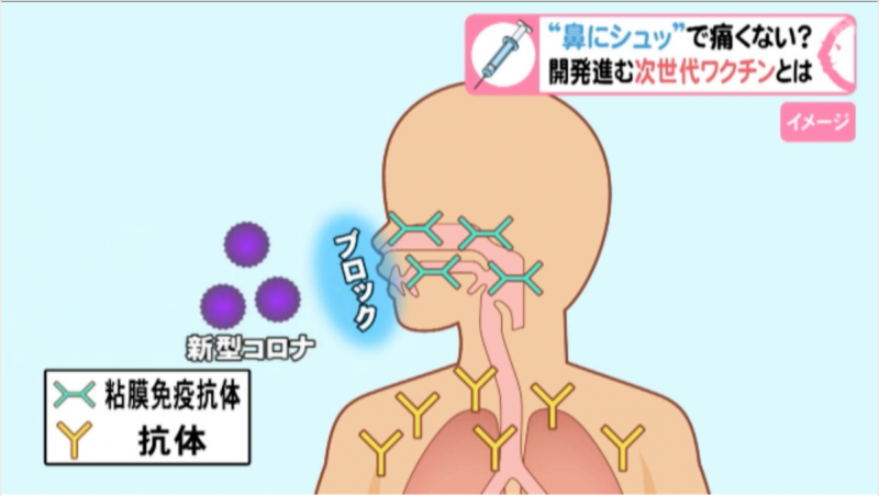 covid-19-measures-needle-free-and-painless-vaccines-are-being-developed-in-mie-prefecture-japan-1631081937-1.png
