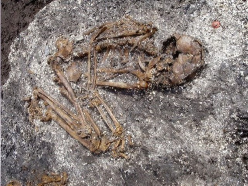 analyzing-genetic-information-of-human-bones-in-japan-1632721879-1.png