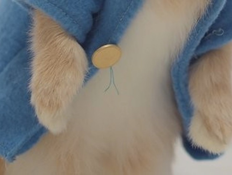 peter-rabbit-is-a-live-action-film--1633936619-1.png