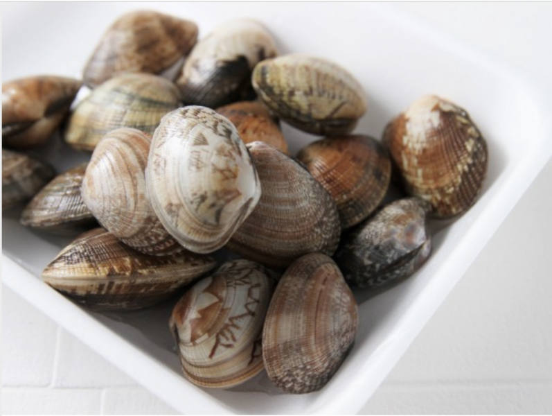-save-ingredients-wisely-and-make-good-use-of-them--shellfish--1634277421-1.png