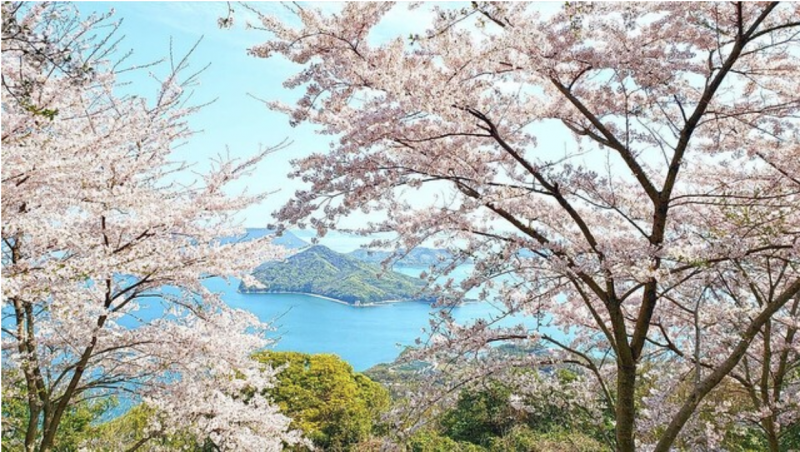 akashi-city-hyogo-prefecture-ranked-first-in-the-national-city-ranking-2021-1634884541-1.png