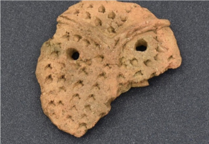 -the-oldest-excavated-soil-surface-in-japan-hachinohe-1636955738-1.png