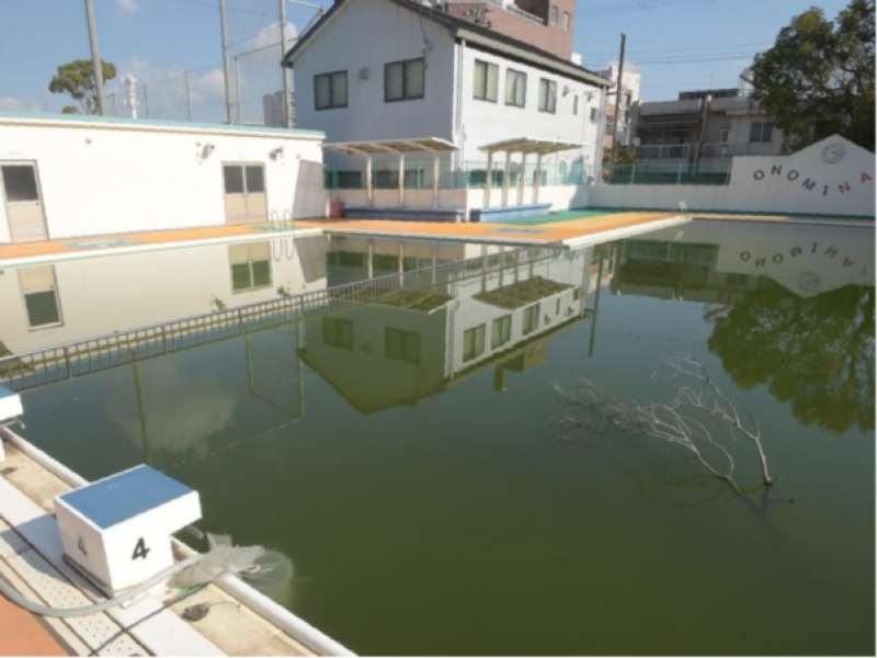 within-5-mints-pool-water-becomes-drinkable-water-during-disasters--1638336680-1.png