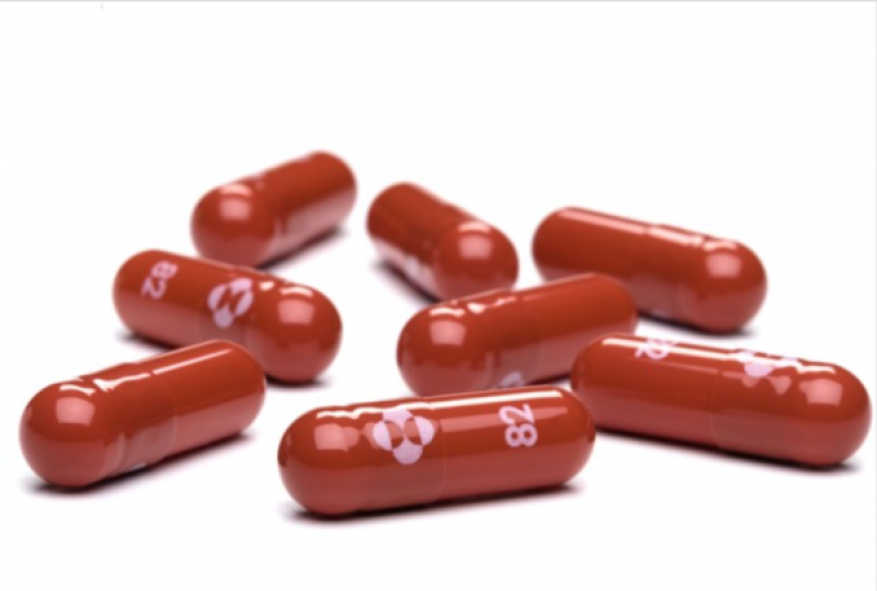 approval-expected-of-new-corona-omicron-drug-on-the-24th-december-1640070559-1.png