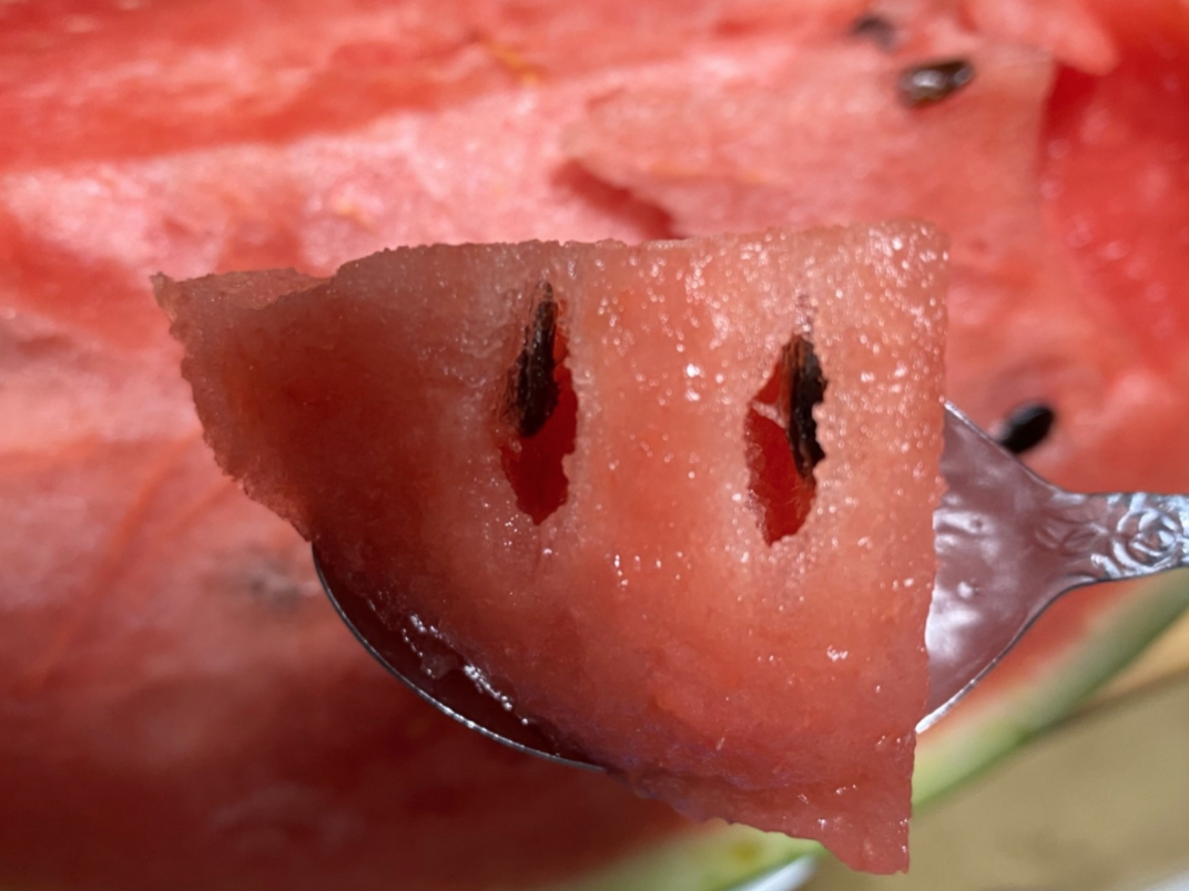 Delicious-Suica