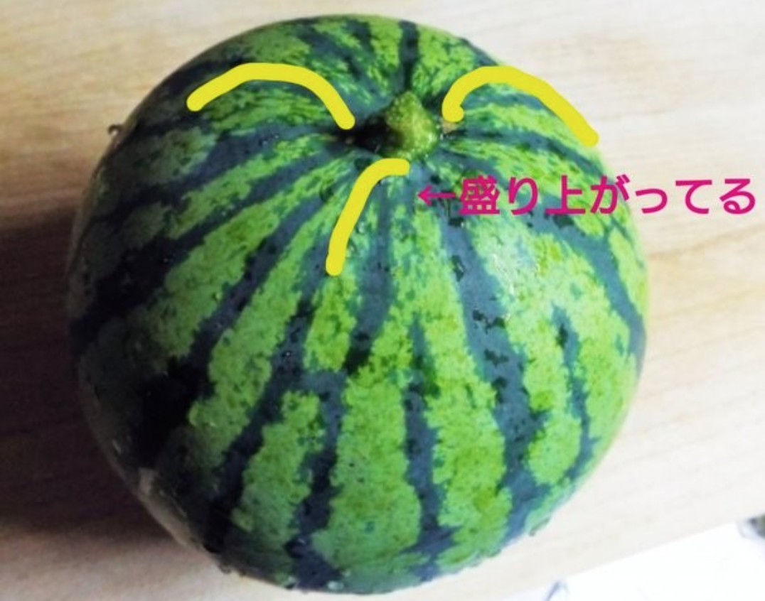 Delicious-Suica