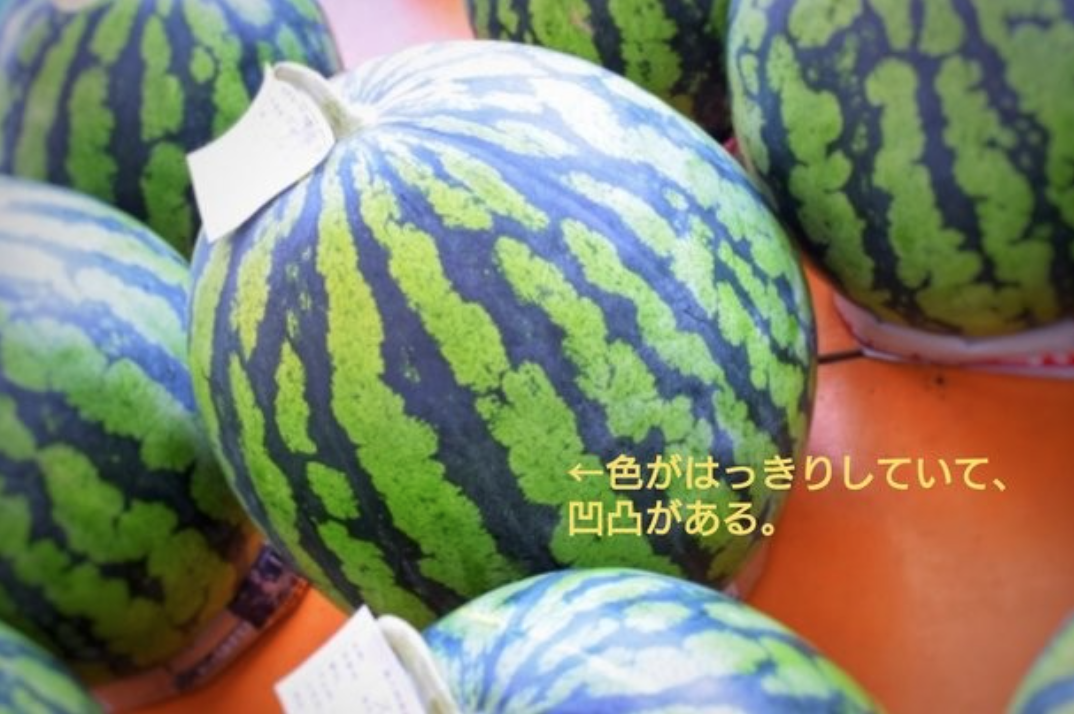 Delicious-Suica
